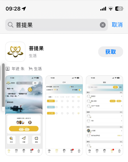 苹果手机安装预览